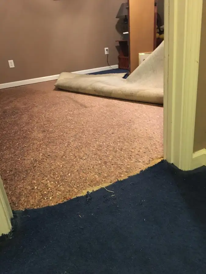 Carpet pad removal revealing water damage during Drying & Dehumidification in Bountiful