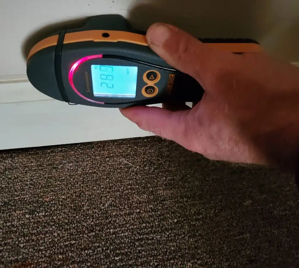 Moisture detection at baseboard during Sewage Cleanup & Sanitation in Bountiful
